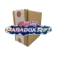 Pokémon Paradox Rift - Sleeved Booster Box (24 boosterů)